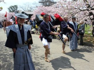 松前公園の桜写真２
