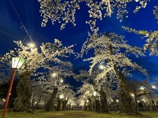 青葉ヶ丘公園の写真３