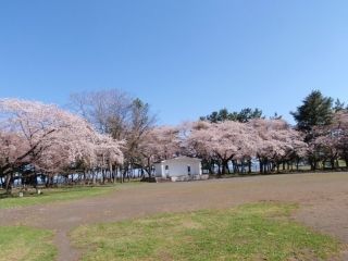 合浦公園の写真３