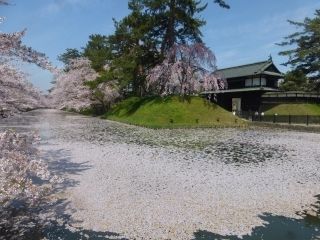 弘前公園の写真３