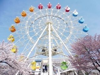 八戸公園の写真３