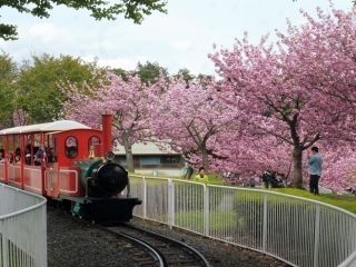 八戸公園の写真４