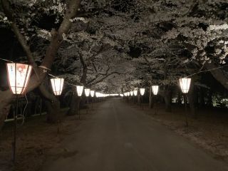 県立芦野公園の写真４