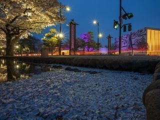 十和田市官庁街通りの写真４