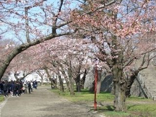 盛岡城跡公園の写真３