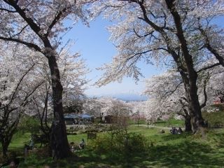 城山公園(岩手県)の写真3