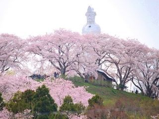 船岡城址公園の写真３