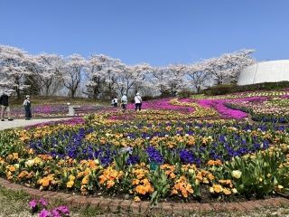 国営みちのく杜の湖畔公園の写真３