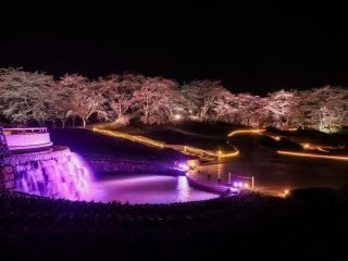 国営みちのく杜の湖畔公園の写真４