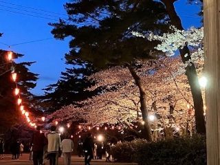 千秋公園の写真3