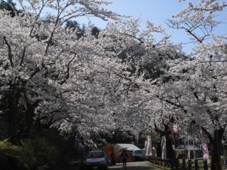 真人公園の写真３