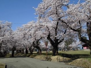 真人公園の写真４