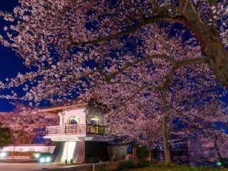 本荘公園の写真３