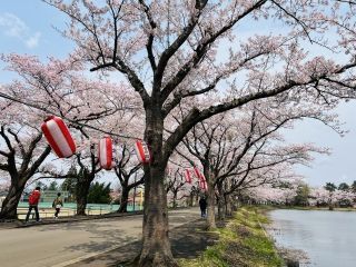 鷹巣中央公園の写真3