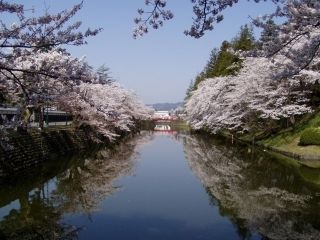 松が岬公園の写真３