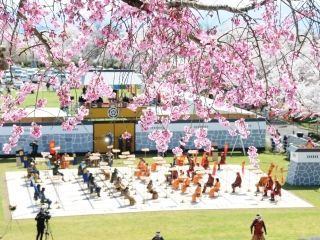 天童公園（舞鶴山）の桜写真２