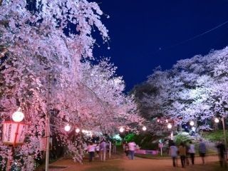 烏帽子山公園の写真３