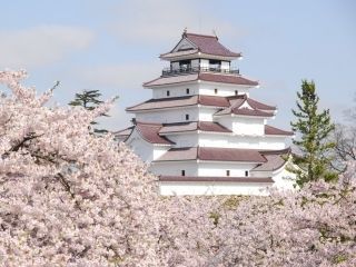 鶴ヶ城公園の写真３