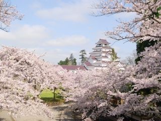 鶴ヶ城公園の写真４