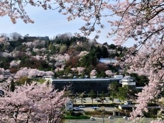 霞ヶ城公園の写真４