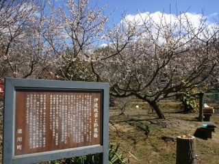 やながわ希望の森公園の写真３