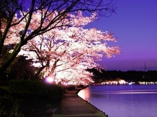 千波湖畔の写真３