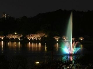 千波湖畔の写真４