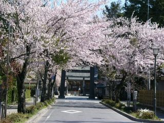 乃木参道の写真３