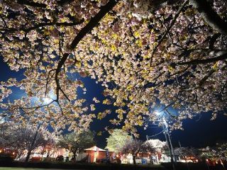 天平の丘公園の写真４