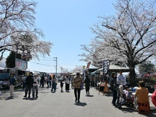 かしの森公園の写真３