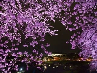 楽歩堂前橋公園の写真３