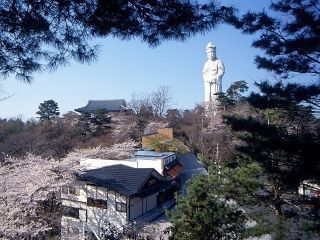 観音山の桜写真１