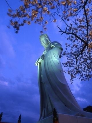 観音山の写真３