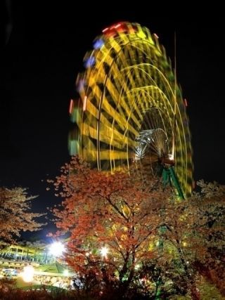 華蔵寺公園の桜写真２
