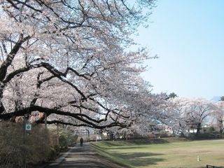 沼田公園の写真４