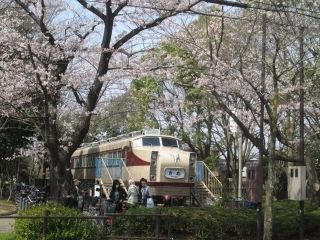 岩槻城址公園の写真３
