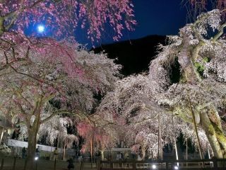 清雲寺の写真４