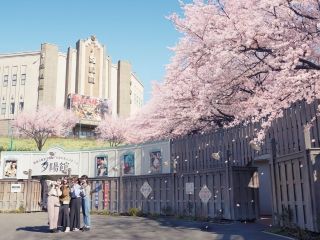 西武園ゆうえんちの桜写真２