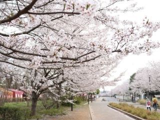 清水公園の写真３