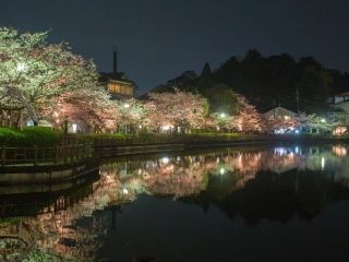 八鶴湖の写真３