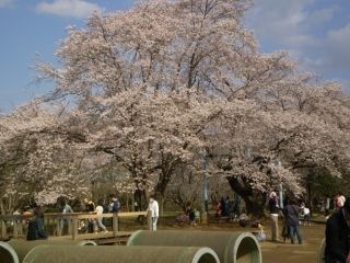 キッズダムの写真３