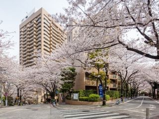 アークヒルズの桜写真１