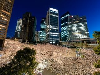 アークヒルズの写真３