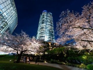 六本木ヒルズ 毛利庭園・六本木さくら坂の写真３