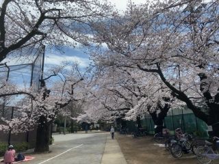哲学堂公園の写真３