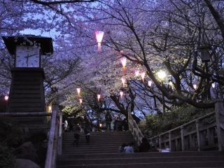 飛鳥山公園の写真３