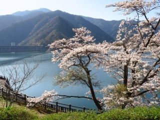 奥多摩湖の写真３