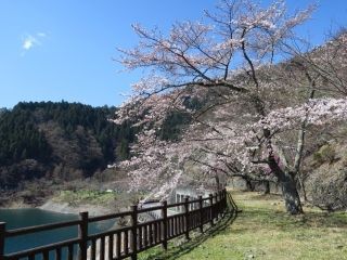 奥多摩湖の写真４