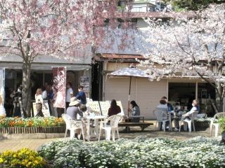 相模湖畔の写真３