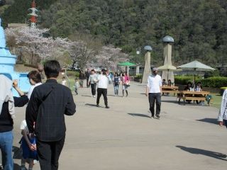 相模湖畔の写真４